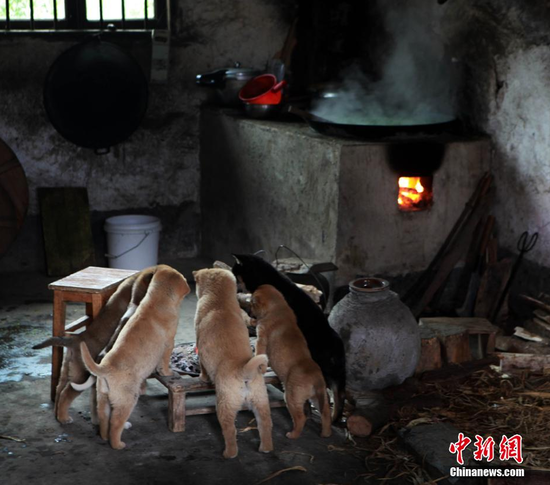 ����С��������Χ¯ȡů ��������(ͼ)