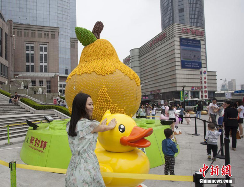 组图:上海万只小黄鸭展览 仅3天被拔走一半