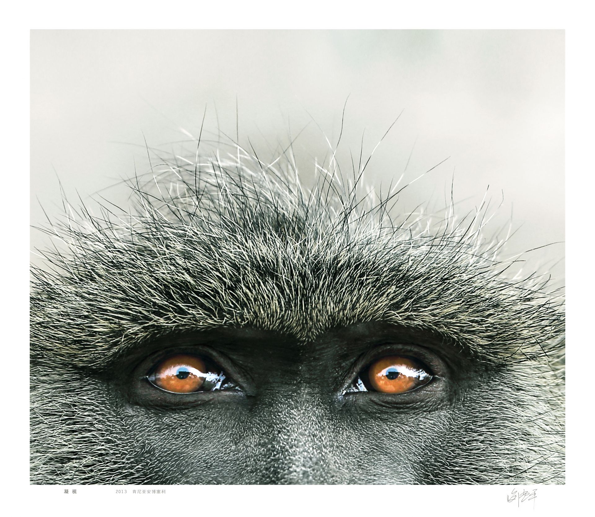 《永远的非洲》喻惠平影像特展将于1月11日在卓尔书店开展