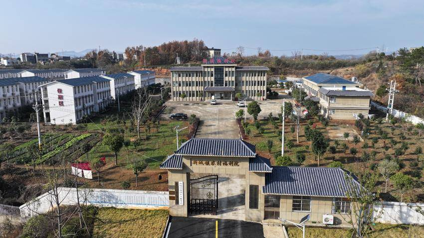 医养结合守护“夕阳红”,大悟全力推进“医康养”一体化